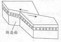 1594199104466349982.jpg