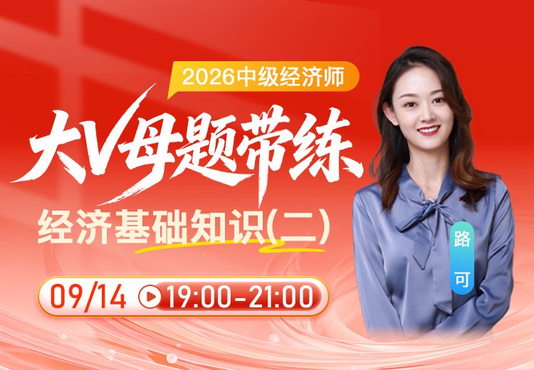 2026年中级经济师《经济基础知识》大V母题带练（二）